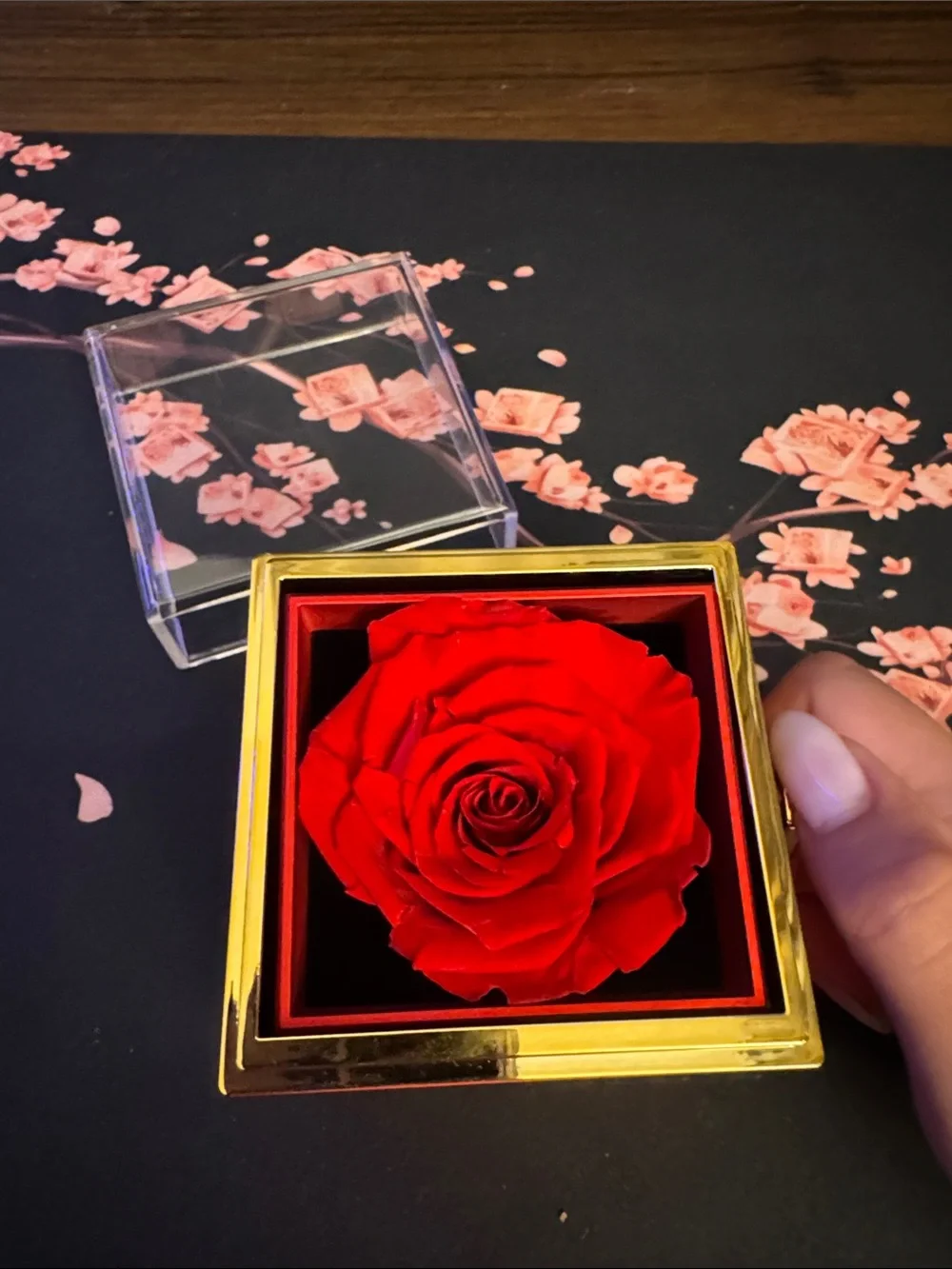 Fabu love striking preserved